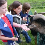 Sonniges Seifenkistenrennen
